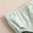 Load image into Gallery viewer, Green Baby Girl's Dress with Flowers with Bow and Panties