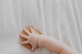 Load image into Gallery viewer, Silicone Teether - Clay Seashell