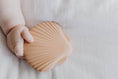 Load image into Gallery viewer, Silicone Teether - Clay Seashell