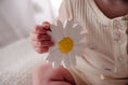 Load image into Gallery viewer, Silicone Teether - Milk Daisy