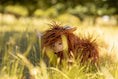 Load image into Gallery viewer, Heidi the Highland Cow - Mimi et Lion