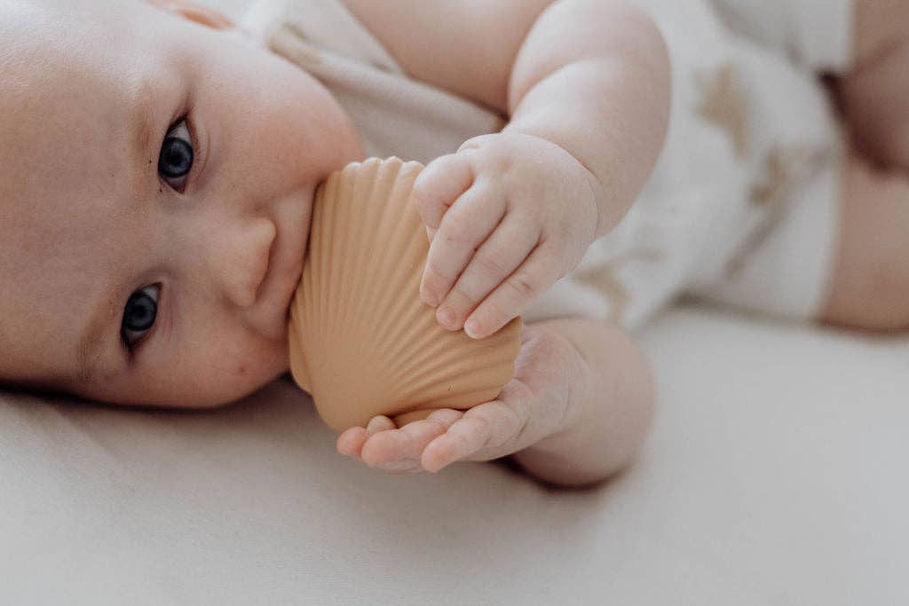 Silicone Teether - Clay Seashell