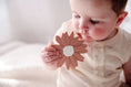 Load image into Gallery viewer, Silicone Teether - Blush Daisy
