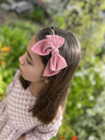 Load image into Gallery viewer, Mini & Me Velvet Fable Bow Headband Rose
