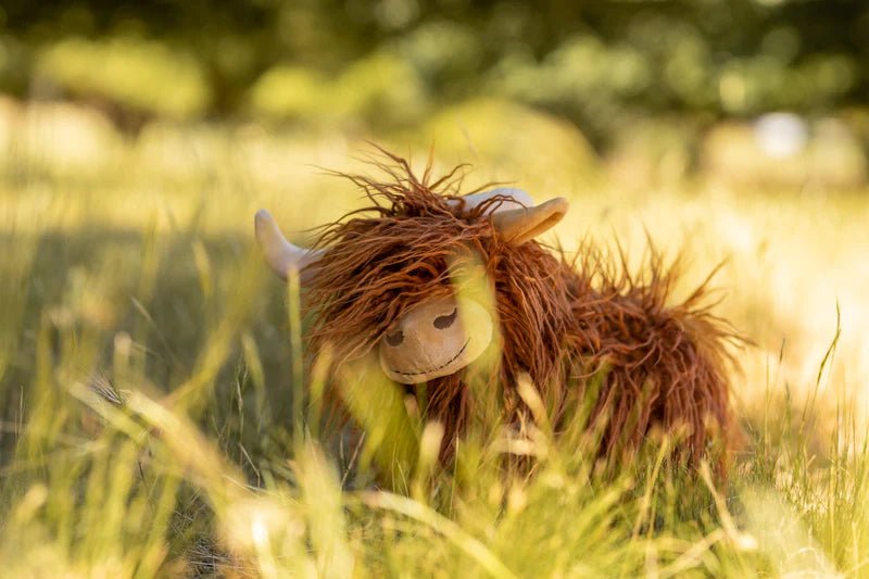 Heidi the Highland Cow - Mimi et Lion