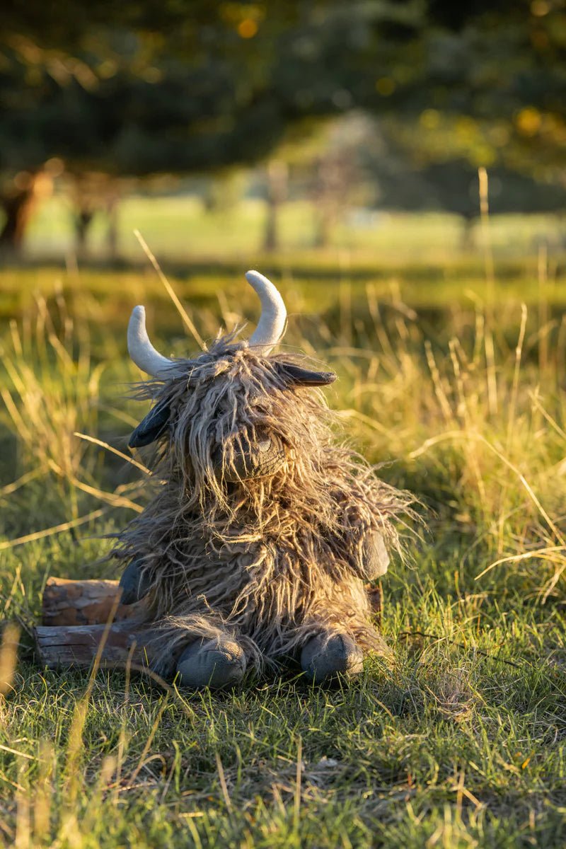 Henry the Highland Cow Charcoal - Mimi et Lion