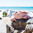 Load image into Gallery viewer, Little Kenzo Crab Soft Toy 9"/23cm - Mimi et Lion
