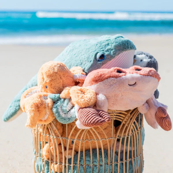 Basket filled with ocean-themed plush toys, including whales and crabs, by the beach