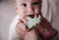 Load image into Gallery viewer, Silicone Teether - Sage Palm Tree
