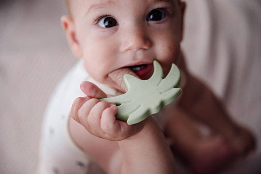 Silicone Teether - Sage Palm Tree