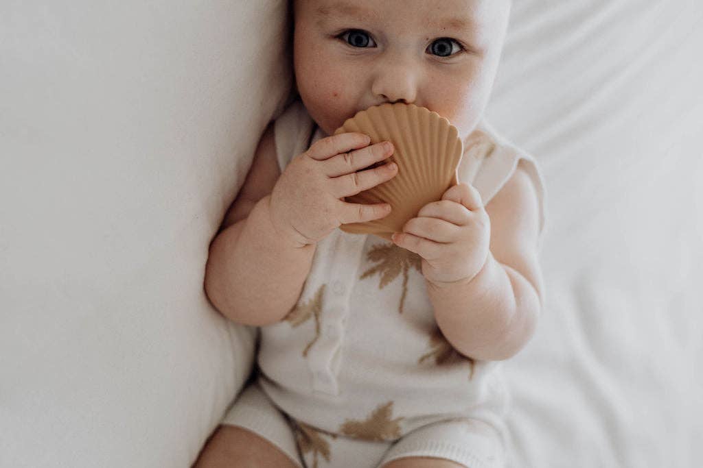 Silicone Teether - Clay Seashell